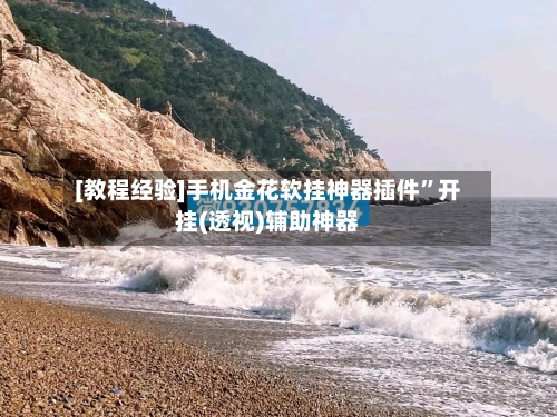[教程经验]手机金花软挂神器插件”开挂(透视)辅助神器-第1张图片