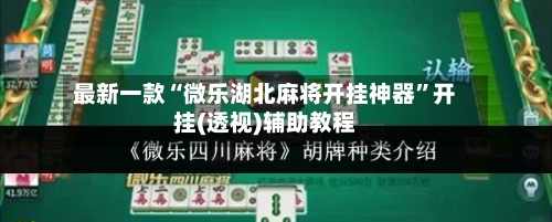 最新一款“微乐湖北麻将开挂神器”开挂(透视)辅助教程-第1张图片