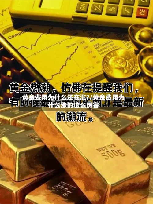 黄金费用为什么还在涨?/黄金费用为什么涨的这么厉害-第1张图片