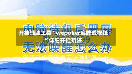 开挂辅助工具“wepoker底牌透视挂”详细开挂玩法-第1张图片