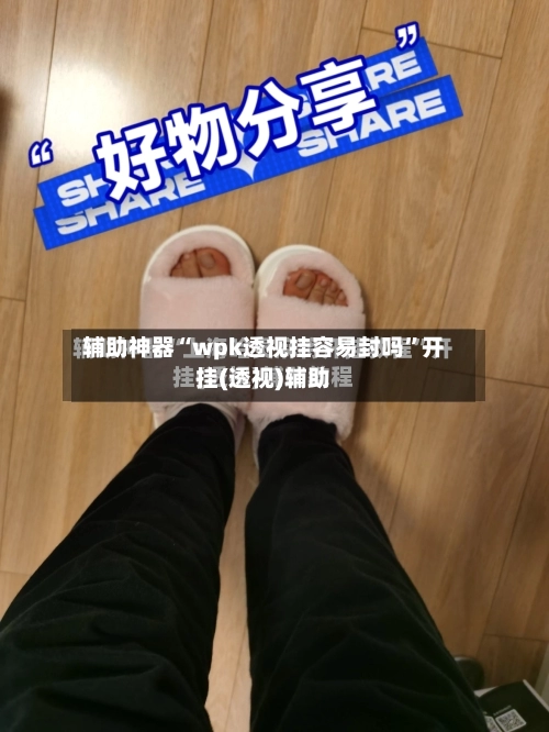 辅助神器“wpk透视挂容易封吗	”开挂(透视)辅助-第1张图片