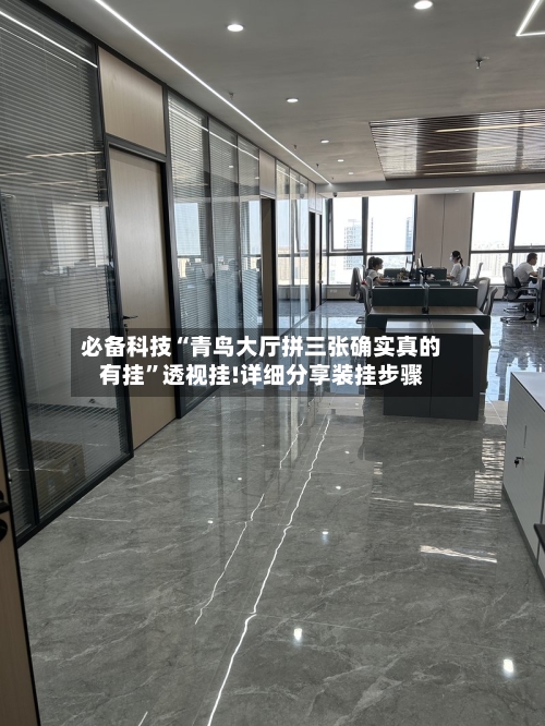 必备科技“青鸟大厅拼三张确实真的有挂”透视挂!详细分享装挂步骤-第1张图片