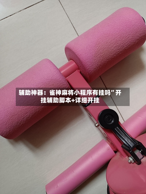 辅助神器：雀神麻将小程序有挂吗”开挂辅助脚本+详细开挂-第1张图片