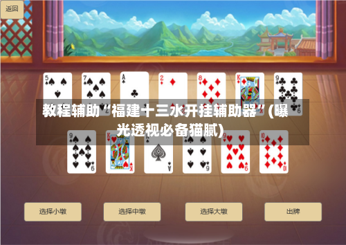 教程辅助“福建十三水开挂辅助器”(曝光透视必备猫腻)-第1张图片