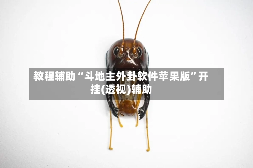 教程辅助“斗地主外卦软件苹果版”开挂(透视)辅助-第1张图片