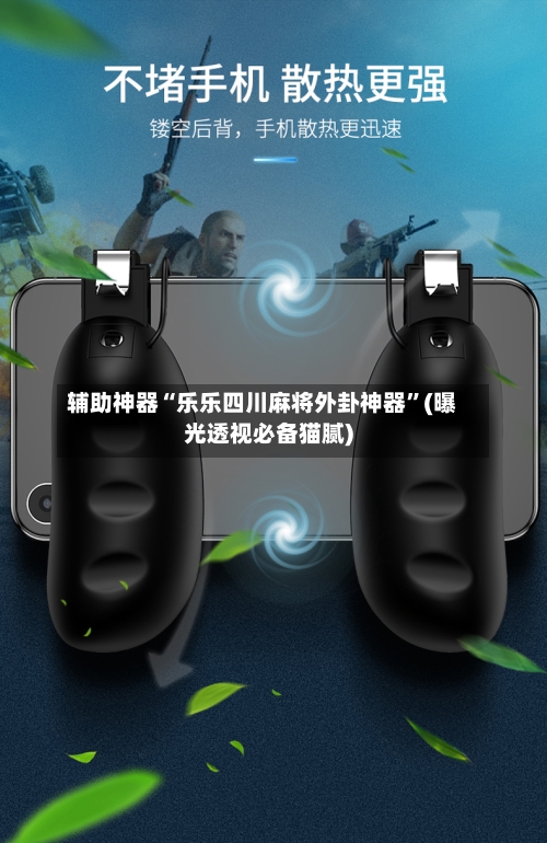 辅助神器“乐乐四川麻将外卦神器”(曝光透视必备猫腻)-第1张图片
