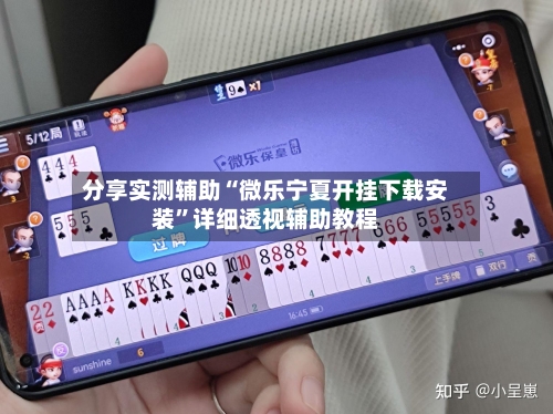 分享实测辅助“微乐宁夏开挂下载安装	”详细透视辅助教程-第1张图片