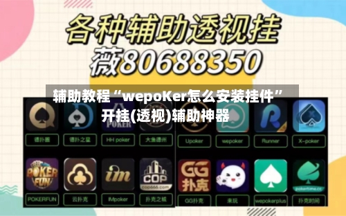 辅助教程“wepoKer怎么安装挂件”开挂(透视)辅助神器-第1张图片