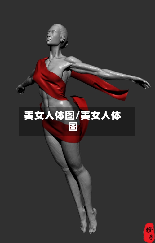 美女人体图/美女人体图-第1张图片