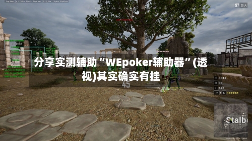 分享实测辅助“WEpoker辅助器”(透视)其实确实有挂-第1张图片