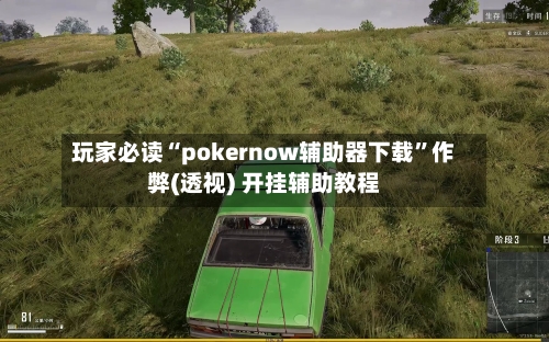 玩家必读“pokernow辅助器下载	”作弊(透视) 开挂辅助教程-第1张图片