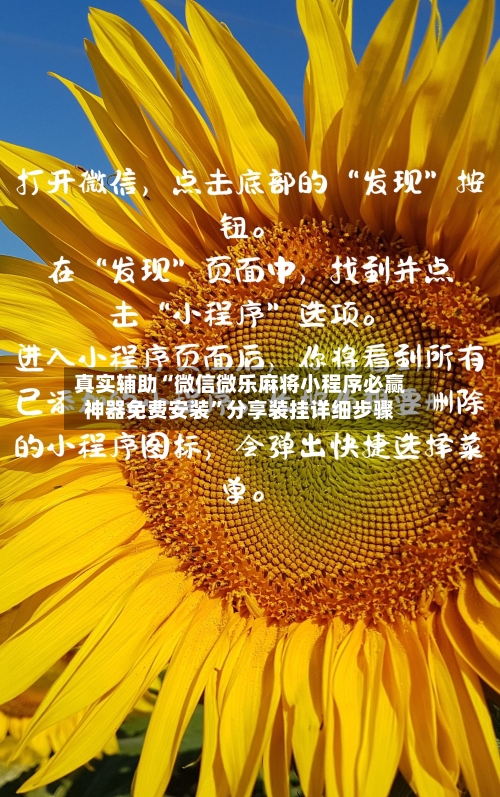 真实辅助“微信微乐麻将小程序必赢神器免费安装”分享装挂详细步骤-第1张图片
