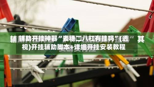 辅助开挂神器“麦穗二八杠有挂吗”(透视)开挂辅助脚本+详细开挂安装教程-第1张图片