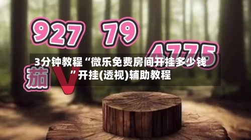 3分钟教程“微乐免费房间开挂多少钱	”开挂(透视)辅助教程-第1张图片