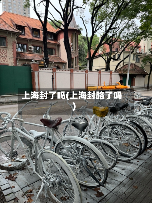 上海封了吗(上海封路了吗)-第1张图片
