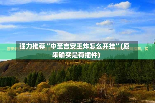 强力推荐“中至吉安王炸怎么开挂	”(原来确实是有插件)-第1张图片