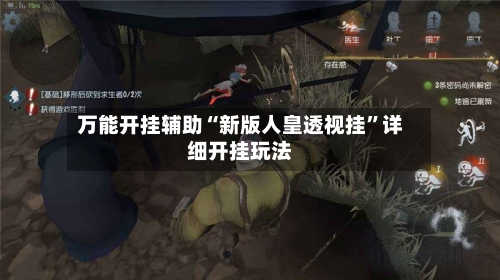 万能开挂辅助“新版人皇透视挂	”详细开挂玩法-第1张图片