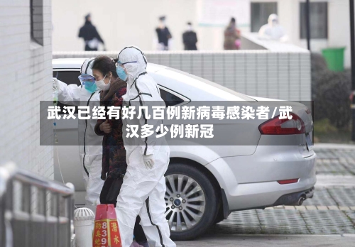 武汉已经有好几百例新病毒感染者/武汉多少例新冠-第1张图片