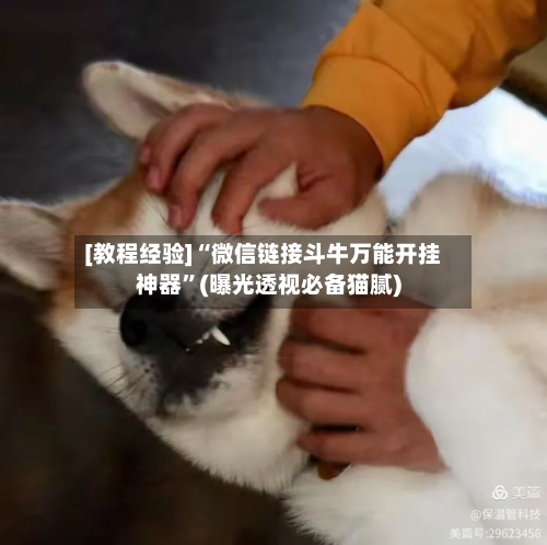[教程经验]“微信链接斗牛万能开挂神器”(曝光透视必备猫腻)-第1张图片