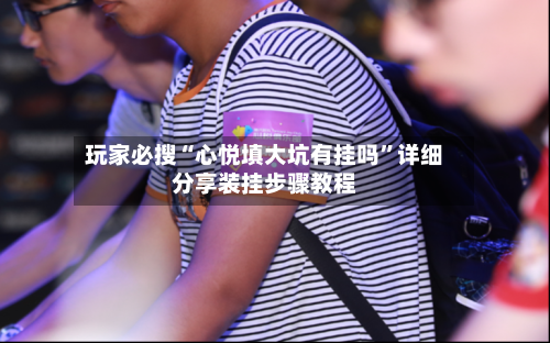 玩家必搜“心悦填大坑有挂吗	”详细分享装挂步骤教程-第1张图片