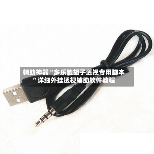 辅助神器“多乐跑胡子透视专用脚本	”详细外挂透视辅助软件教程-第1张图片