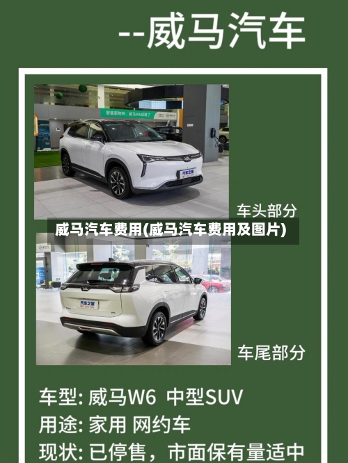 威马汽车费用(威马汽车费用及图片)-第1张图片
