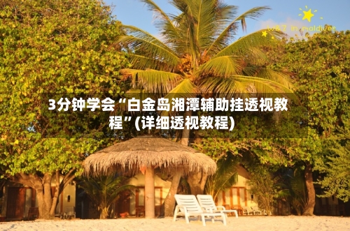 3分钟学会“白金岛湘潭辅助挂透视教程”(详细透视教程)-第1张图片