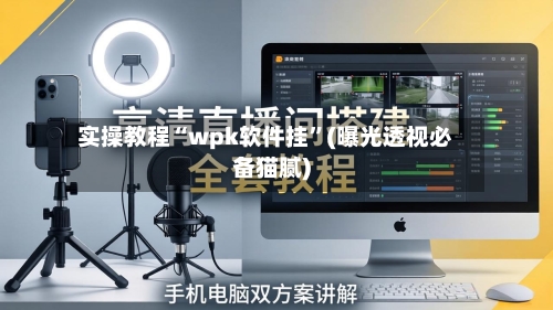 实操教程“wpk软件挂”(曝光透视必备猫腻)-第1张图片