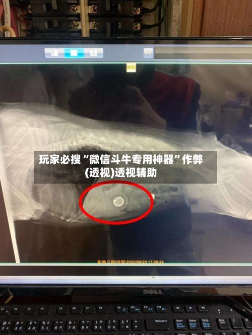 玩家必搜“微信斗牛专用神器	”作弊(透视)透视辅助-第1张图片