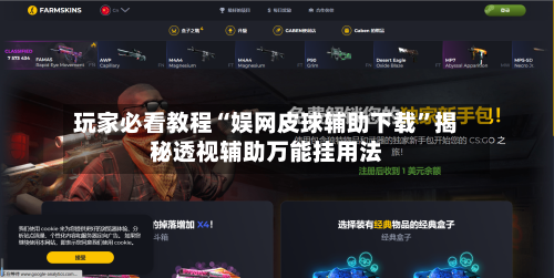 玩家必看教程“娱网皮球辅助下载”揭秘透视辅助万能挂用法-第1张图片