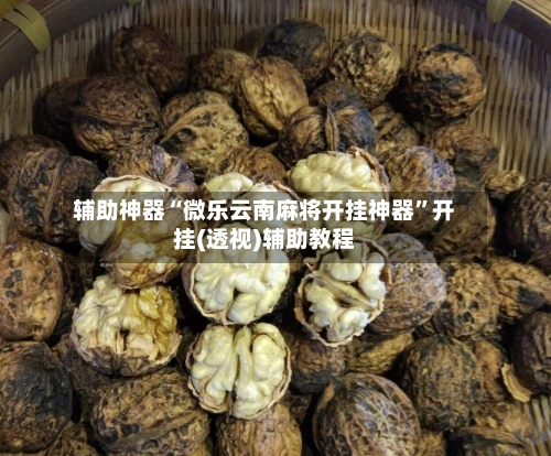辅助神器“微乐云南麻将开挂神器”开挂(透视)辅助教程-第1张图片