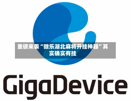重磅来袭“微乐湖北麻将开挂神器	”其实确实有挂-第1张图片