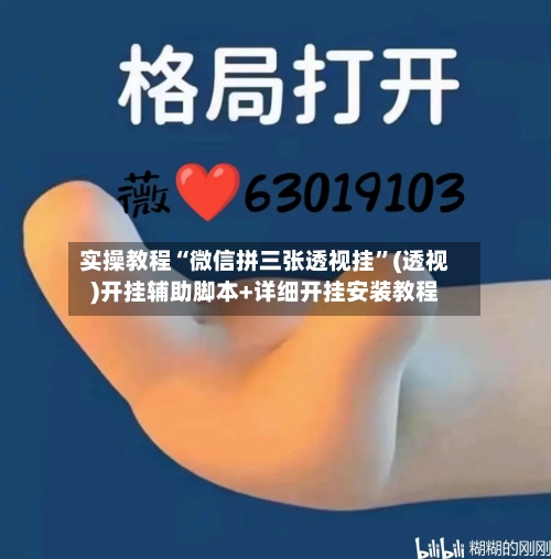 实操教程“微信拼三张透视挂”(透视)开挂辅助脚本+详细开挂安装教程-第1张图片