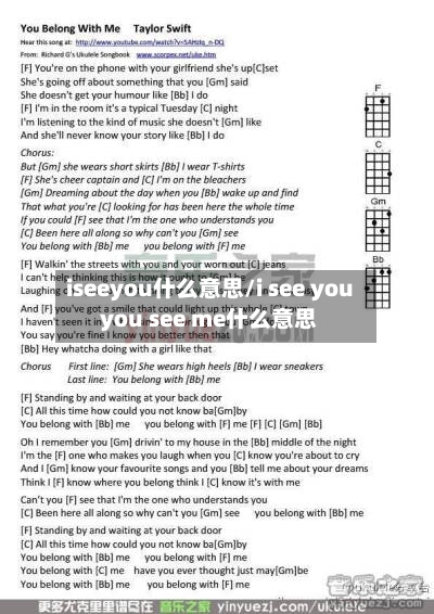 iseeyou什么意思/i see you you see me什么意思-第1张图片