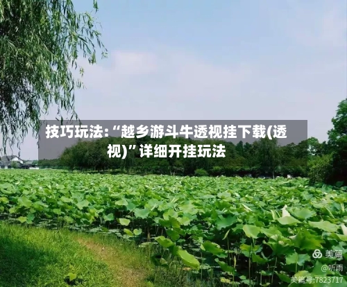 技巧玩法:“越乡游斗牛透视挂下载(透视)”详细开挂玩法-第1张图片