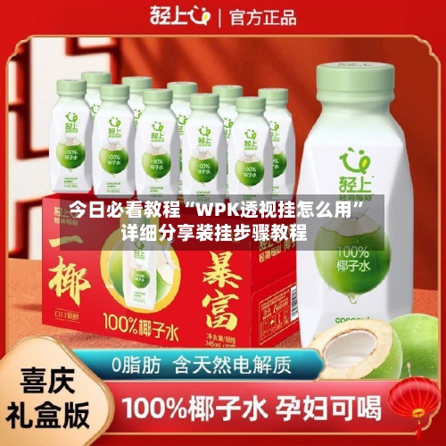 今日必看教程“WPK透视挂怎么用	”详细分享装挂步骤教程-第1张图片