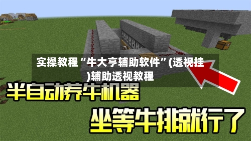 实操教程“牛大亨辅助软件”(透视挂)辅助透视教程-第1张图片