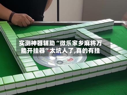 实测神器辅助“微乐家乡麻将万能开挂器”太坑人了,真的有挂-第1张图片
