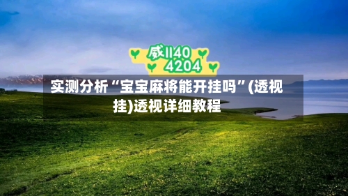 实测分析“宝宝麻将能开挂吗”(透视挂)透视详细教程-第1张图片