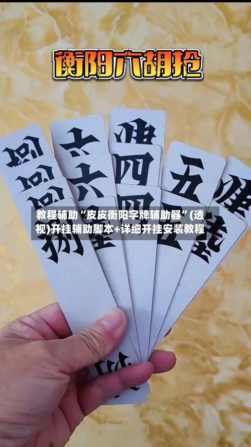 教程辅助“皮皮衡阳字牌辅助器	”(透视)开挂辅助脚本+详细开挂安装教程-第1张图片