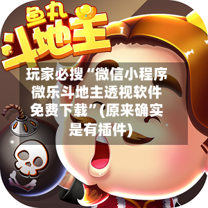 玩家必搜“微信小程序微乐斗地主透视软件免费下载	”(原来确实是有插件)-第1张图片