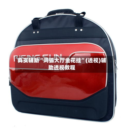 真实辅助“鸿狐大厅金花挂	”(透视)辅助透视教程-第1张图片