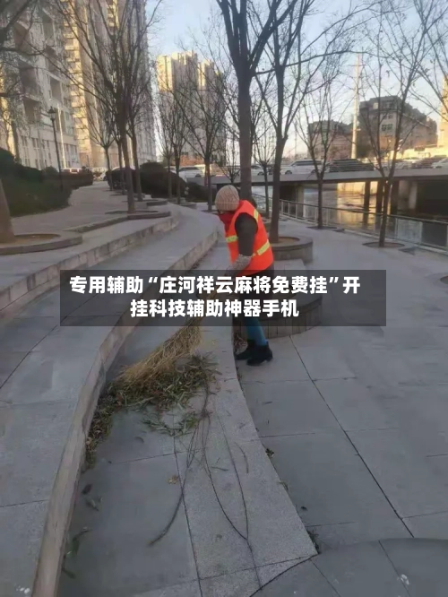 专用辅助“庄河祥云麻将免费挂”开挂科技辅助神器手机-第1张图片