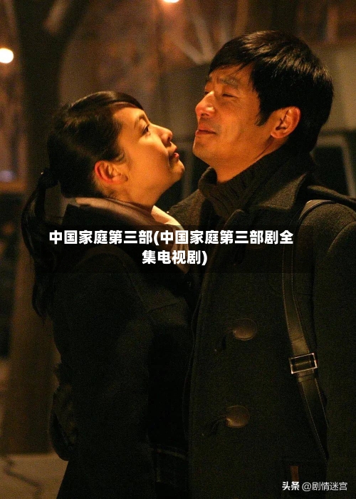 中国家庭第三部(中国家庭第三部剧全集电视剧)-第1张图片