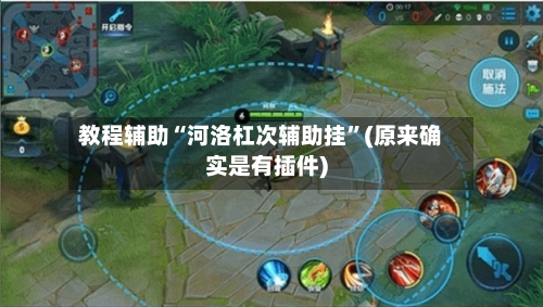 教程辅助“河洛杠次辅助挂	”(原来确实是有插件)-第1张图片