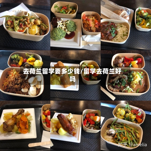 去荷兰留学要多少钱/留学去荷兰好吗-第1张图片