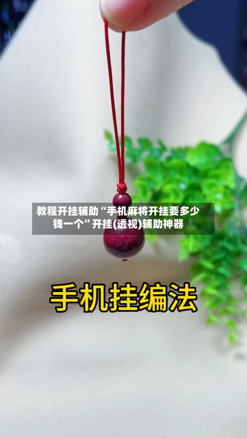 教程开挂辅助“手机麻将开挂要多少钱一个”开挂(透视)辅助神器-第1张图片