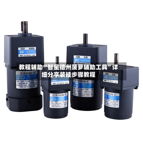 教程辅助“智星德州菠萝辅助工具	”详细分享装挂步骤教程-第1张图片