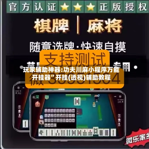 玩家辅助神器:功夫川麻小程序万能开挂器	”开挂(透视)辅助教程-第1张图片