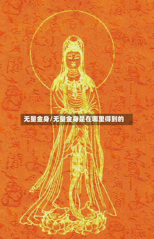 无量金身/无量金身是在哪里得到的-第1张图片